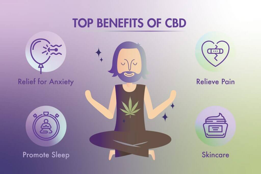 Cbd (cannabidiol) Beginners’ Guide 2022