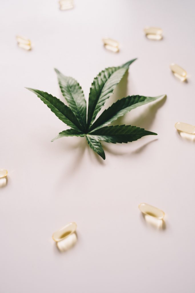 Cbd Oil For Mental Health—should You Take It Carefully?